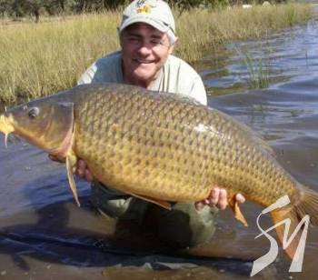 �� ��������, ��� �� �������� ��� �� ����